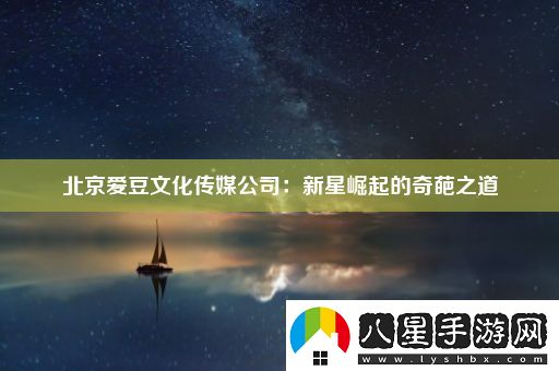 北京愛(ài)豆文化傳媒公司
