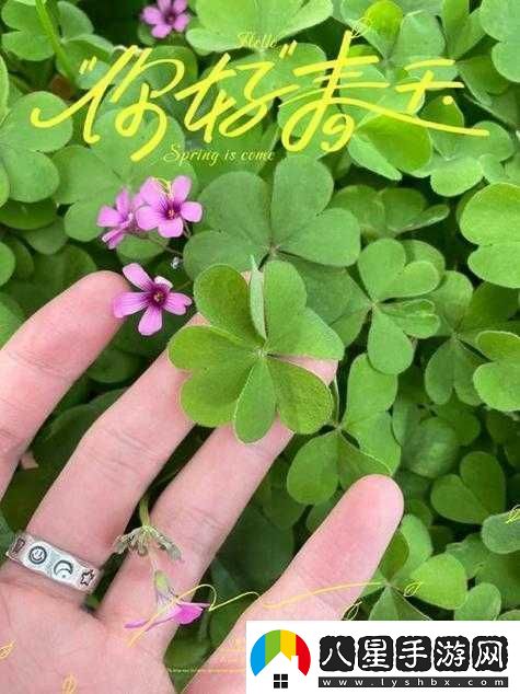 成品人與精品人在四葉草區別上的探討