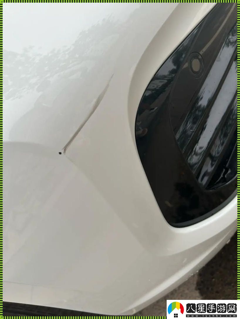 “時(shí)尚車(chē)禍”——車(chē)漆受損