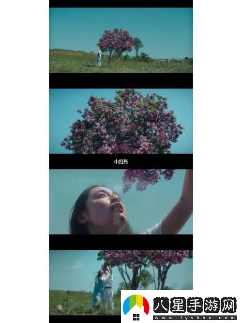 丁香花在線(xiàn)電影電視劇
