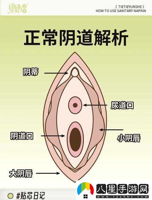 愛(ài)自己