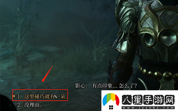 博德之門(mén)3夜蘭花怎么送