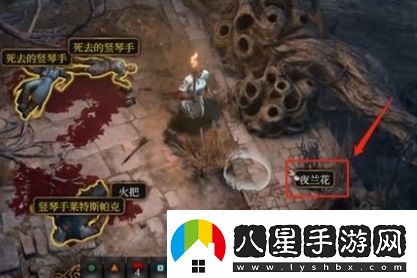博德之門(mén)3夜蘭花怎么送