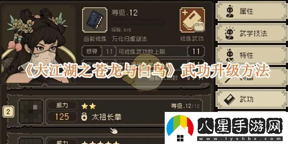 大江湖之蒼龍與白鳥(niǎo)如何高效提升武功技能的方法與策略