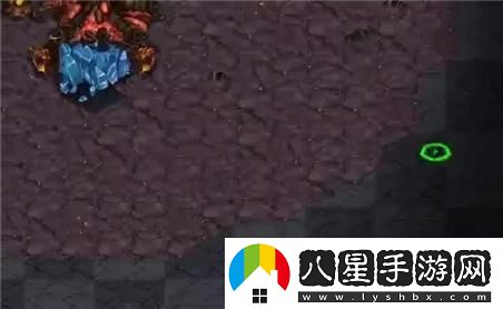 風(fēng)暴大陸的市場(chǎng)規則與玩法詳解攻略，助你輕松掌握游戲技巧