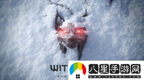 粉絲不必試圖干預巫師4的劇情走向CDPR將堅持自己的創(chuàng  )作理念