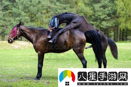“交流配”奇葩說(shuō)