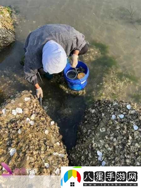 趕海新體驗