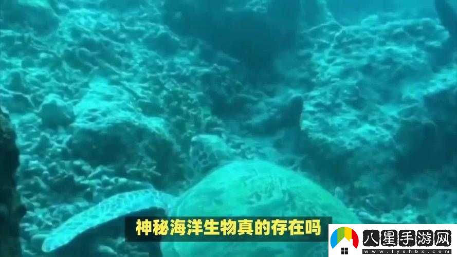 地心護核者荒野區深度魚(yú)類(lèi)探秘