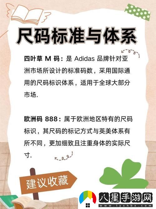 四葉草m碼和歐洲碼的888區別