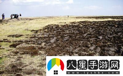 狂野開(kāi)拓