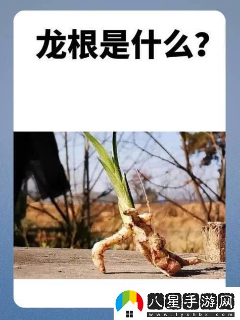 用龍根養大的公主姜宜珠姜封