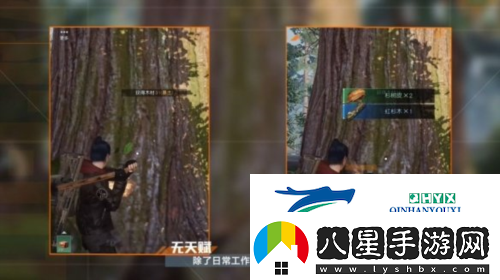 黎明覺(jué)醒采集怎么沒(méi)有經(jīng)驗了