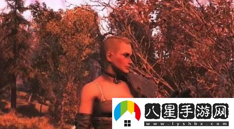輻射76女性角色內衣肩帶設計引發(fā)爭議玩家呼吁開(kāi)發(fā)者進(jìn)行修改