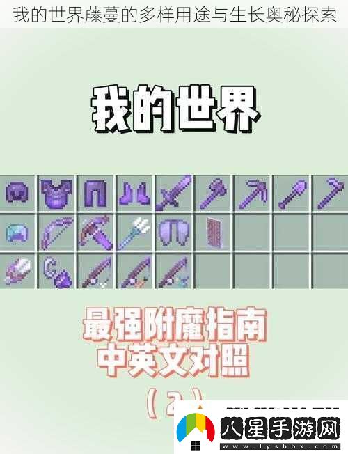 我的世界藤蔓的多樣用途與生長(cháng)奧秘探索