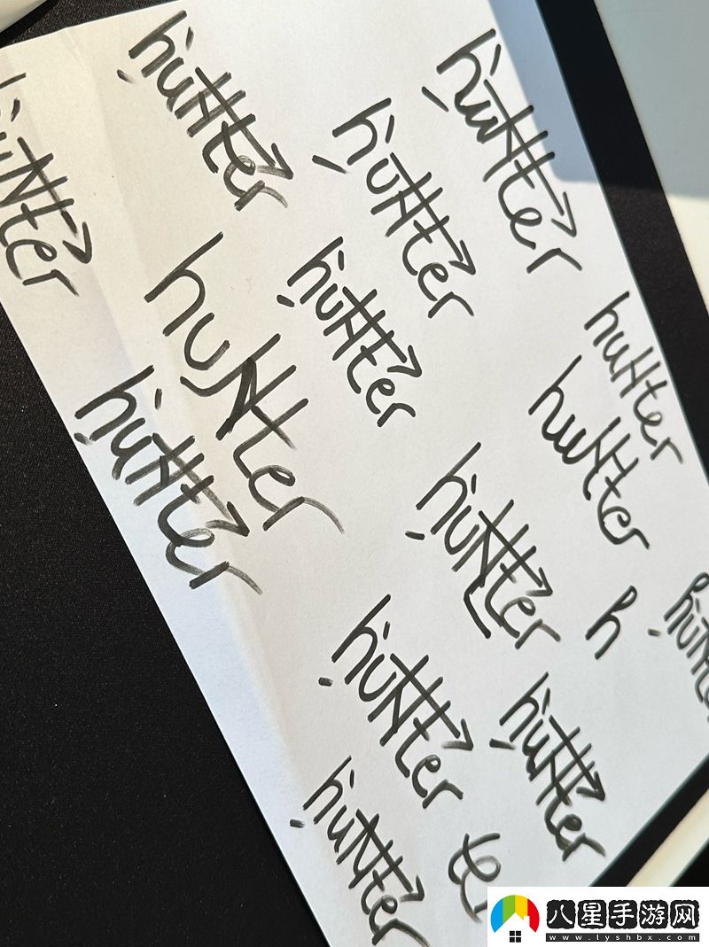 苦練簽名NiKo及huNter寫(xiě)滿(mǎn)簽名方案
