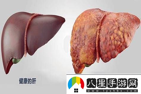 老公每天吃我小花園會(huì )傷肝嗎