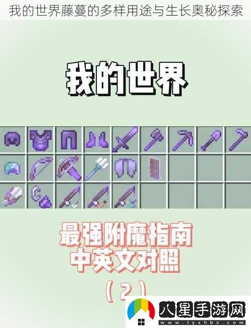 我的世界藤蔓的多樣用途與生長(cháng)奧秘探索