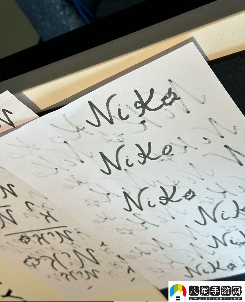 苦練簽名NiKo及huNter寫(xiě)滿(mǎn)簽名方案