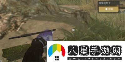 黎明覺(jué)醒礦山采集點(diǎn)有哪些黎明覺(jué)醒礦山采集點(diǎn)位置介紹