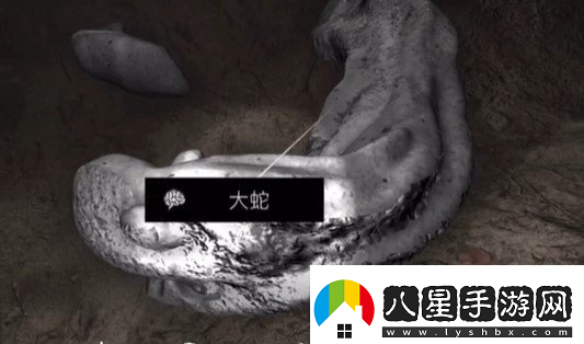 孫美琪疑案浮生若夢(mèng)四級線(xiàn)索——大蛇