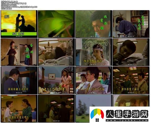 含羞草免費觀(guān)看電視劇的背景故事