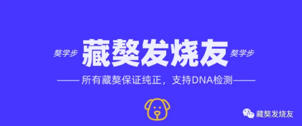 國產(chǎn)羞羞站內容豐富多樣用戶(hù)體驗不錯但希望能增加更多互動(dòng)功能