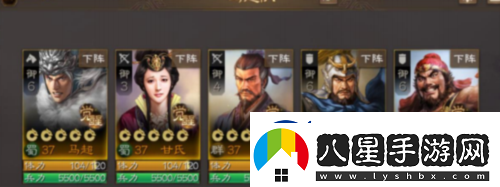 三國志戰棋版新手陣容怎么搭配