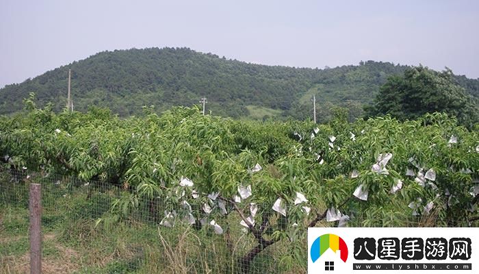 “嶺風(fēng)”來(lái)襲日本水蜜桃笑傲游戲解說(shuō)界??！