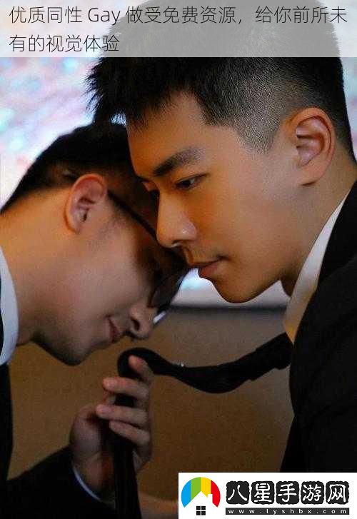 優(yōu)質(zhì)同性