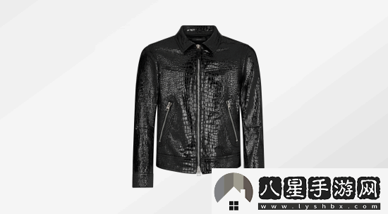 黃仁勛新皮衣超帥！價(jià)格曝光