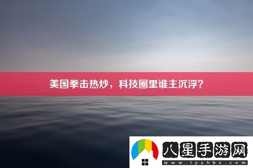 美國拳擊熱炒