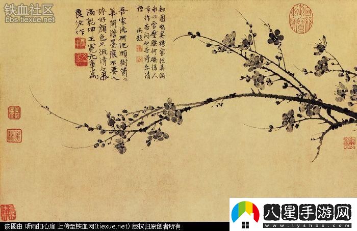 科技江湖驚現奇聞！‘老槍不倒’梅花先生引發(fā)網(wǎng)友狂潮
