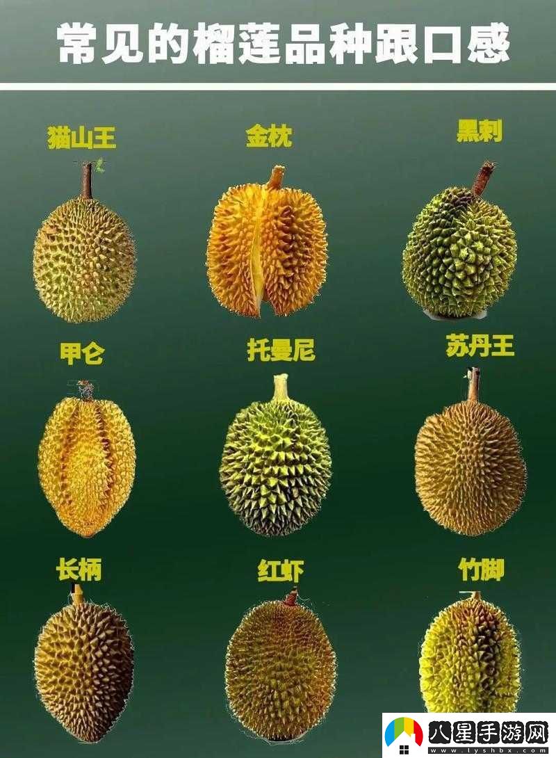 草莓香蕉榴蓮與絲瓜的奇妙組合及獨特風(fēng)味