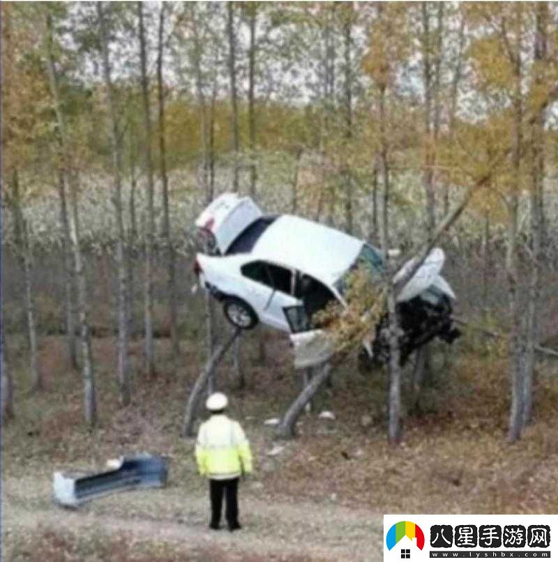 見(jiàn)了在車(chē)里做了