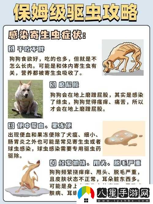 狗狗卡在體內