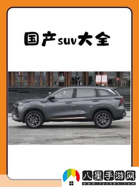 國產(chǎn)SUV精品一區二區
