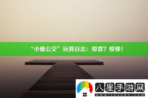“小雅公交”玩具日志