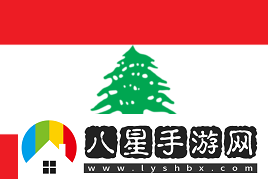 火樹(shù)銀花