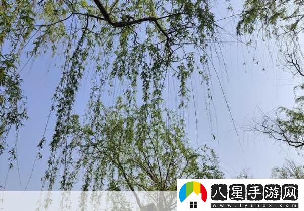 填得很滿(mǎn)感覺(jué)知乎