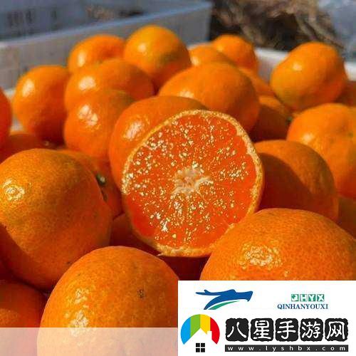 玉杵入牦戶(hù)天下一奇吃桔帶皮
