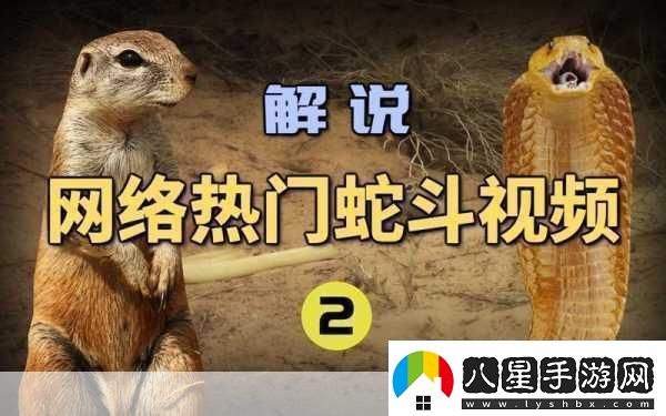 最近中文字幕2019視頻1“2019年最新熱門(mén)視頻大盤(pán)點(diǎn)精彩不容錯過(guò)！”