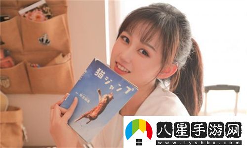 高清WINDOWS免費版觀(guān)看視頻更加流暢與便捷的選擇