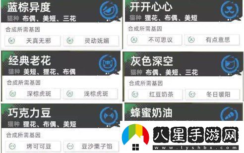 貓之城極品基因貓貓怎么養成