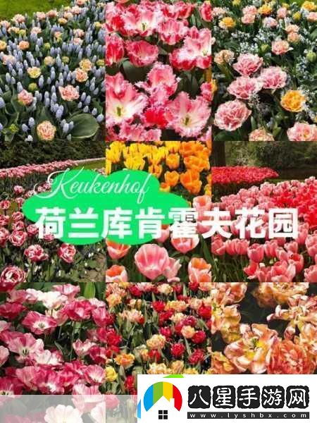 男子肯親花園說(shuō)明什么