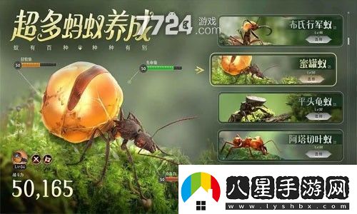 蟻族時(shí)代vip等級表