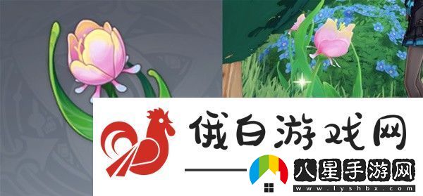 原神仆人阿蕾奇諾突破材料收集攻略