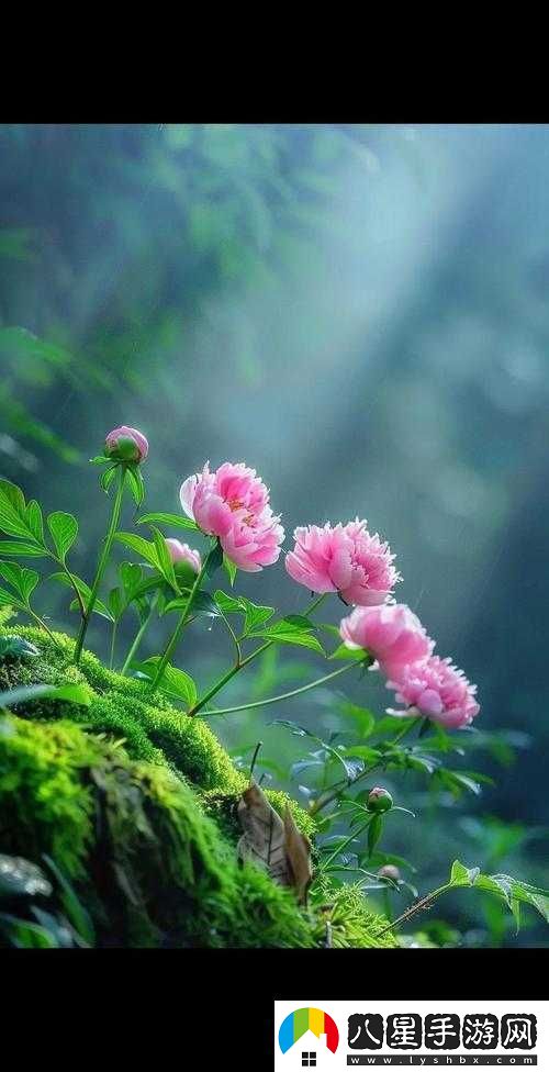 嬌小性花朵綻放出獨特魅力與芬芳