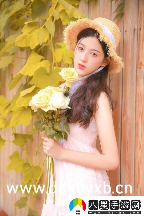 探索“暗交小拗女一區二區三區”的魅力與獨特之處
