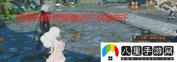 逆水寒手游脈脈不成語(yǔ)奇遇任務(wù)攻略詳解，輕松過(guò)關(guān)的方法分享